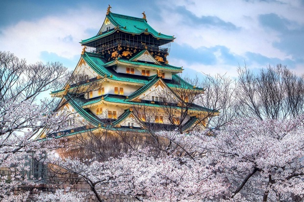 Lịch nở hoa anh đào Nhật Bản 2023 - Công viên Osaka-jo