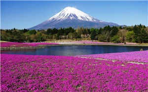 Khám phá núi Phú Sĩ - Nhật Bản